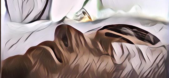 Percobaan Gila Pada 10 Mayat, China Obsesi Hidupkan Orang Mati Pakai Teknologi Ini