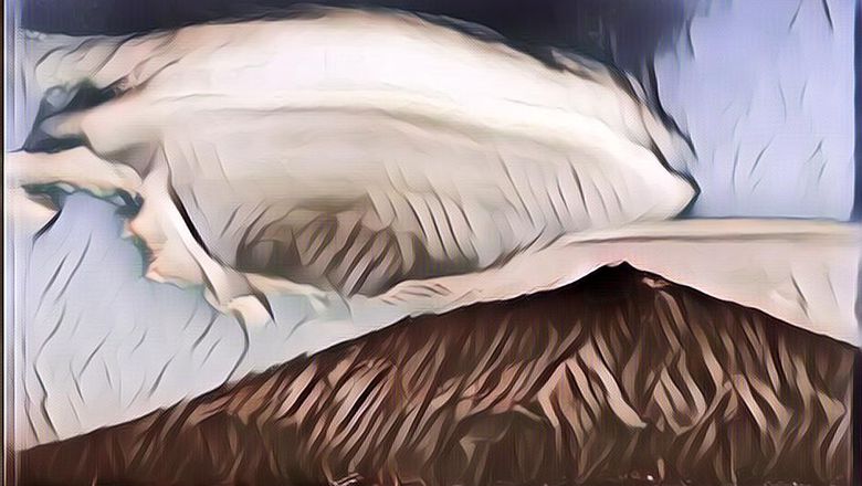 Heboh Ada Benda Berbentuk UFO di Langit Amerika: Nyata atau Tidak?