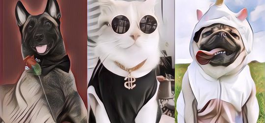 Ada Yang Sudah Mati, 5 Hewan Ini Terkenal Punya Banyak Fans Dan Jadi Selebgram, Terbaru Pororo Viral Karena Sempat Hilang