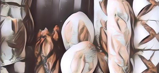 Lebih Sehat dari Roti Biasa, Berikut Resep dan Cara Membuat Roti Sourdough