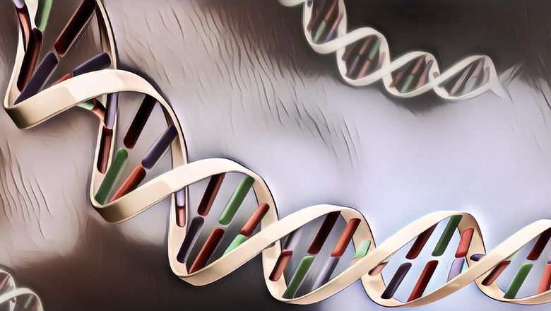 Farmakogenomik: Sebuah Cara Pengobatan Masa Depan yang Lebih Efektif, Efisien, dan Terjangkau