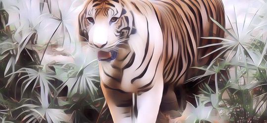 Bukan Dongeng! Ini Sejarah 7 Manusia Harimau yang Pernah Dijadikan Sinetron