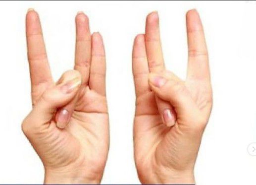 2. Shunya Mudra (Mudra of Empeties)