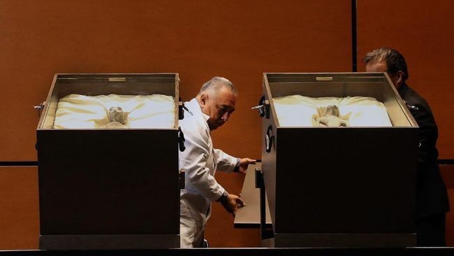 # Makhluk Non-Manusia dengan Kepala Kecil dan Melengkung