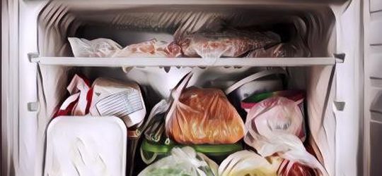 5 Tips Freezer Hack Biar Makanan Segarmu Lebih Tahan Lama
