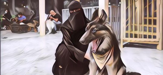 Mengenal Kafe Khusus Anjing di Arab Saudi, The Barking Lot