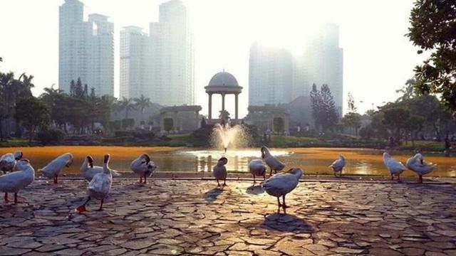 1. Danau Angsa di Pakuwon City