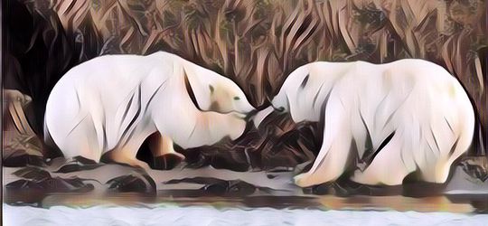 Sedih! Beruang Kutub Memperebutkan Sampah Plastik Karena Kelaparan