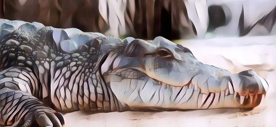 Seorang Pendeta Tewas di Serang Buaya dalam Upacara Pembaptisan