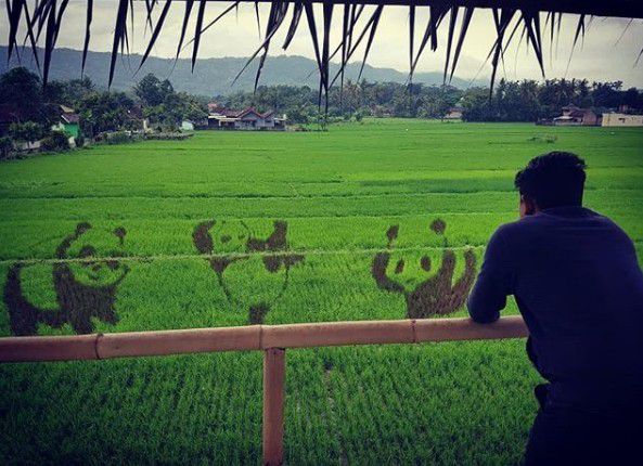 4. Musim ini bergambar 3 Panda