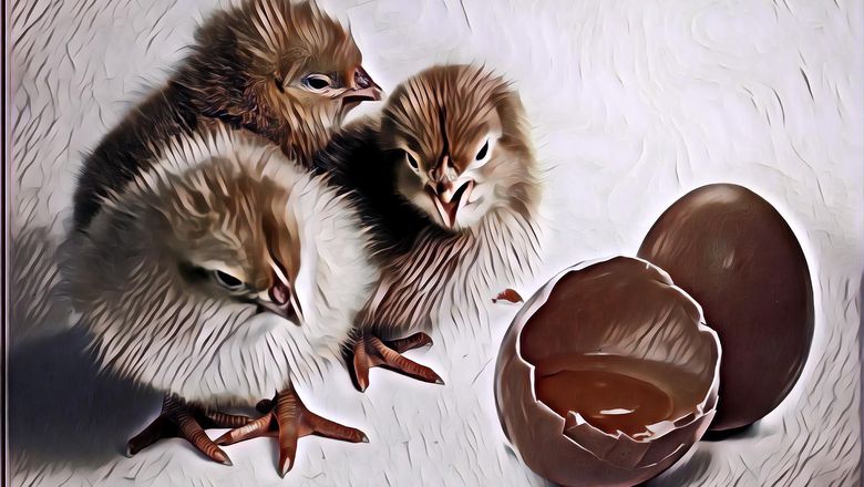 Sering Ada Pertanyaan Duluan Ayam Apa Telur? Nah Ini Jawabannya!