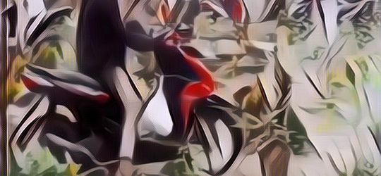 Heboh Warga di Jember Bawa Masuk Motor Terobos Makam