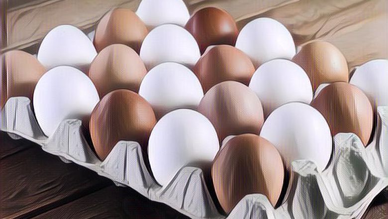 Telur Coklat dan Telur Putih, Mana yang Lebih Sehat dan Bergizi?