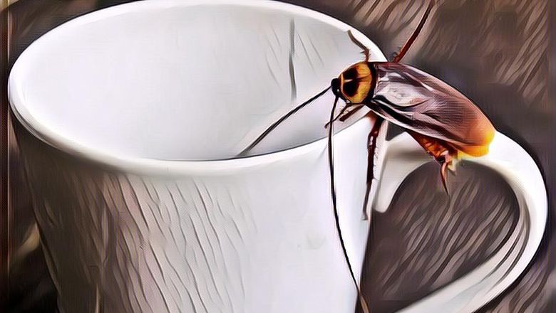 Jika Kiamat Terjadi Mungkin Hanya 5 Hewan Ini yang Bisa Bertahan Hidup dari Kemusnahan