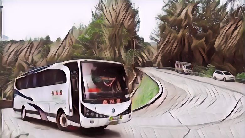 Misteri Kisah Nyata 5 Tanjakan Maut di Indonesia, Serem Cuy