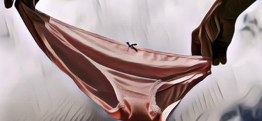 Viral Pencuri Pakaian Dalam Yang Ketahuan Setubuhi Boneka Beruang