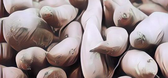 Kreasi Resep Ubi Cilembu Enak Biar Nggak Cuma Dibakar Saja