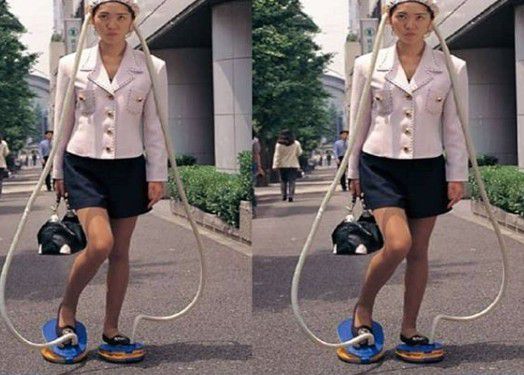 Sepatu pengering rambut