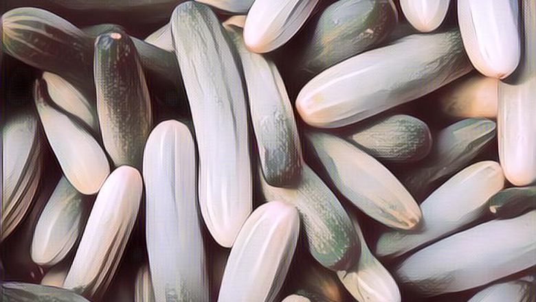 Kandungan Nutrisi Mentimun dan Manfaatnya untuk Kesehatan