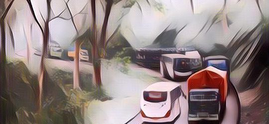 Selain Angker, Ini Sisi Lain Jalan Alas Roban di Jawa Tengah yang Ditakuti Para Pengemudi