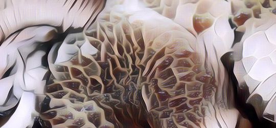 Hati-Hati Gaes, Ini Nih 7 Bahaya Makan Jeroan Kambing