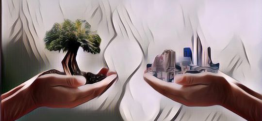 Tips Mudah Menerapkan Gaya Hidup Go Green, Mulai Lakukan yuk!