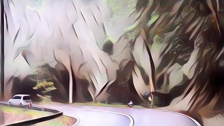 Diduga Lokasi KKN Desa Penari, Ini 5 Hal yang Perlu Diperhatikan saat Melewati Alas Gumitir Banyuwangi