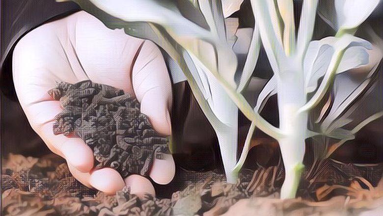 Manfaat Pupuk Organik yang Tidak Kamu Tahu