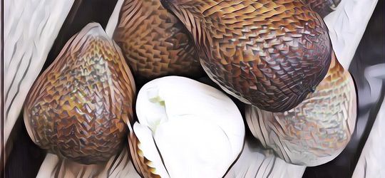 Mitos atau Fakta: Buah Salak Bisa Menyebabkan Sembelit?