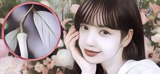 Keren Banget! Gini Penampakan Bunga Langka Penemuan Peneliti Yang Pakai Nama Lisa BLACKPINK