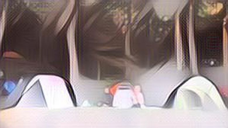 Tetap Aman dan Nyaman, Ini 4 Tips Camping untuk Pemula