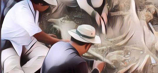 Ada 2 Fosil Dinosaurus Terbaru yang Ditemukan di Inggris