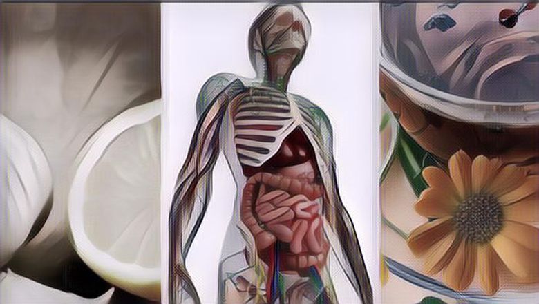 Cara Alami Membersihkan Darah, Tak Perlu Membeli Suplemen Detoks ataupun Diet Detoksifikasi