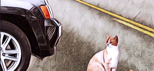 Mitos-Mitos yang Masih Banyak Dipercaya Masyarakat Indonesia Sampai Saat Ini, Kamu Percaya Nomor Berapa?