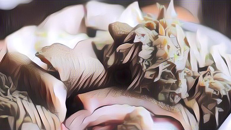 Manfaat Makan Jeroan untuk Kesehatan, Bisa Cegah Kanker!