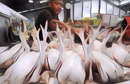 Apa Itu Ayam Merah yang Kerap Dicari Menjelang Lebaran?