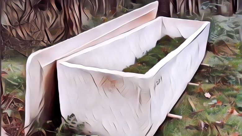 Peti Mati Ramah Lingkungan, Terbuat Dari Jamur dan Percepat Proses Penguraian