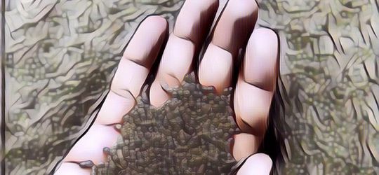 Simpan Harta Karun Selama Berabad-abad, Provinsi di Indonesia Ini Ternyata Jadi Rebutan AS dan China