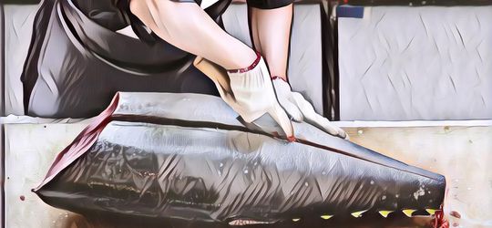 Perlu Dihindari, Berikut 6 Jenis Ikan yang Paling Banyak Mengandung Merkuri