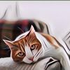 Gak Cuma Manusia, Kucing Juga Bisa Alami Kesepian! Ini Tanda-Tanda Jika Anabulmu Kesepian