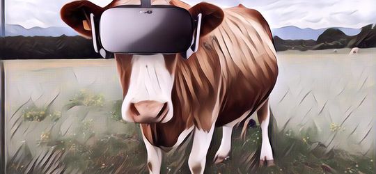 Peternak di Rusia Pasangkan Headset VR ke Ternak Sapi, Tujuannya Apa Sih?