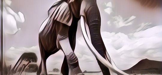 Sebelum "Kenya's Elephant Queen" Meninggal, Ini 5 Potret Paling  Mengharukan