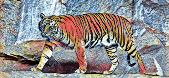 Mungkin Bonita Memang Menaruh Dendam pada Manusia