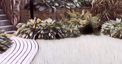 7 Tips Merawat Taman dengan Rumput Gajah Mini