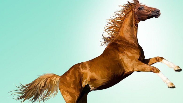 7. Kuda (1942, 1954, 1966, 1978, 1990, 2002, 2014)