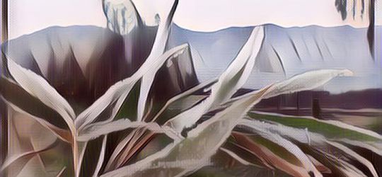 Persiapan ke Dieng Culture Festival 2018