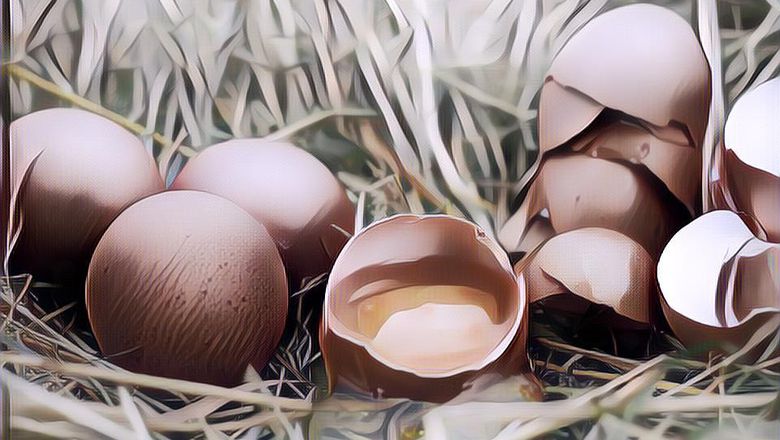 9 Manfaat telur buat tubuh kamu