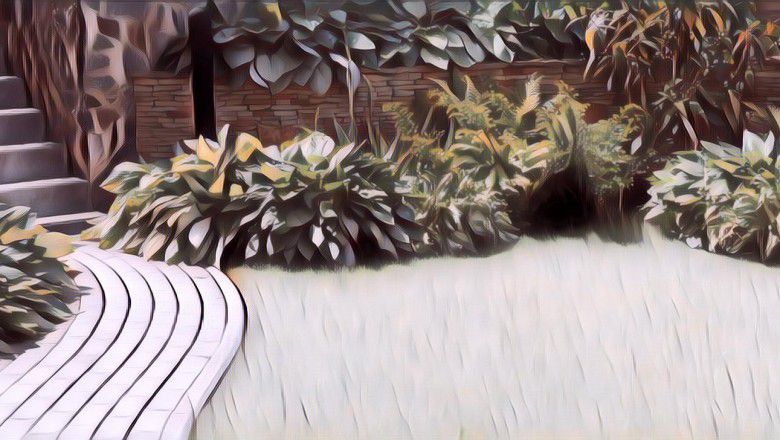 7 Tips Merawat Taman dengan Rumput Gajah Mini