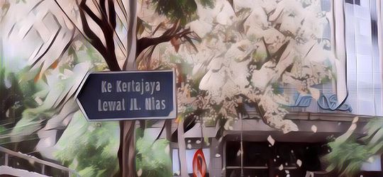 Menengok Sejarah dan Fakta tentang Pohon Tabebuya yang Dikira Sakura di Surabaya