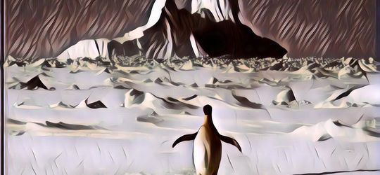 Kenapa Tak Ada Beruang Kutub di Antartika? Ternyata Ini Alasannya